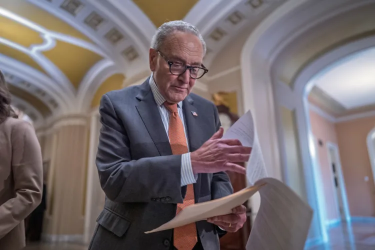 Midterms could decide Schumer’s future as leader